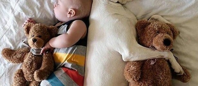Un juez obliga a un padre a ejercer la custodia compartida de sus hijos